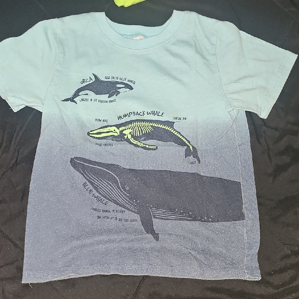 Kids Blue Whale Graphic T-Shirt